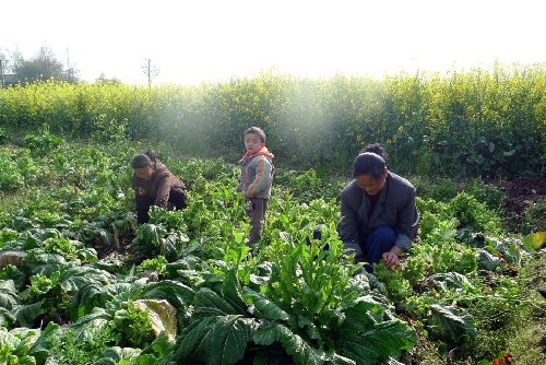 汶川地震孤兒何文東的作品《早晨》