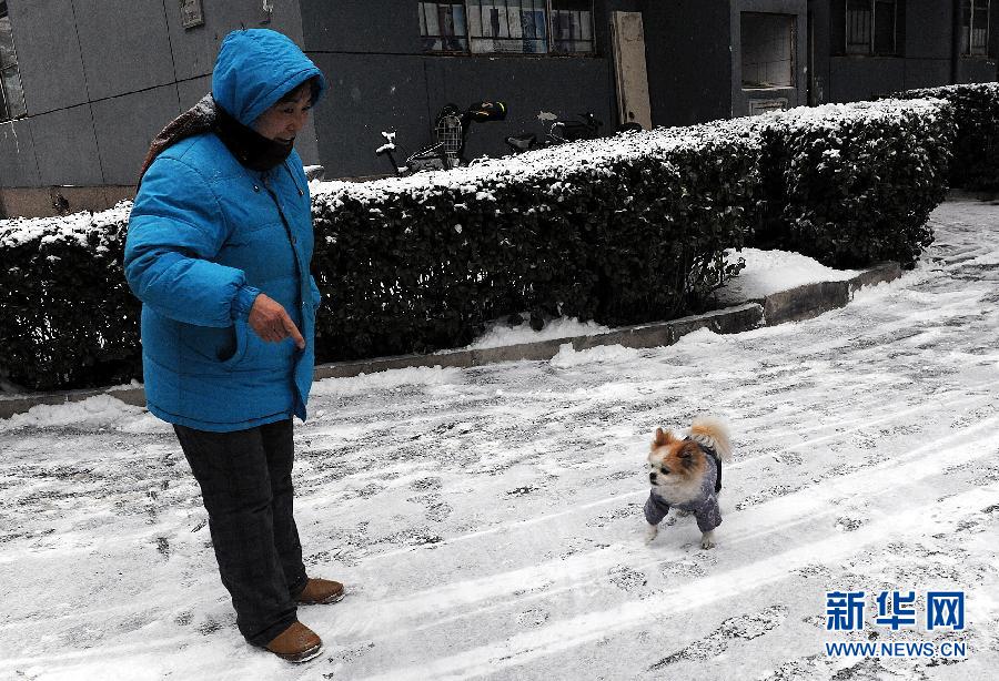 （生態）（7）北京飄雪