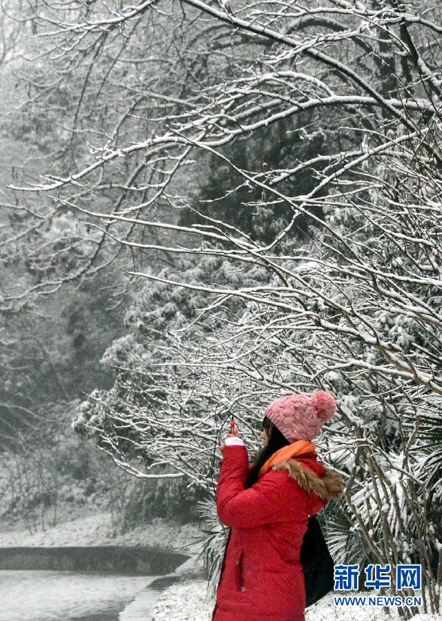 （生態）（1）鄭州：“大寒”到 雪花飄