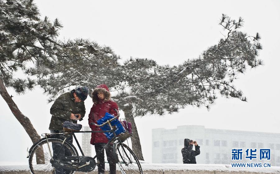 （生態）（1）天津普降中雪