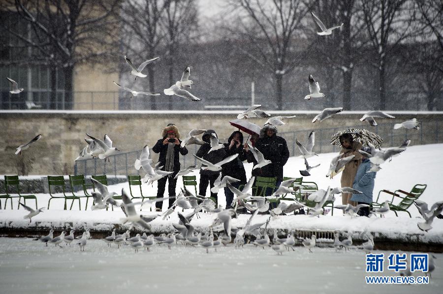 （國際）（7）法國大范圍雨雪天氣影響正常社會生活