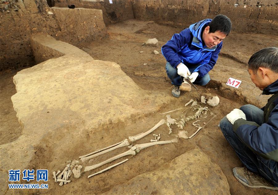 考古確認陜西龍崗寺遺址100萬年前就有人類活動