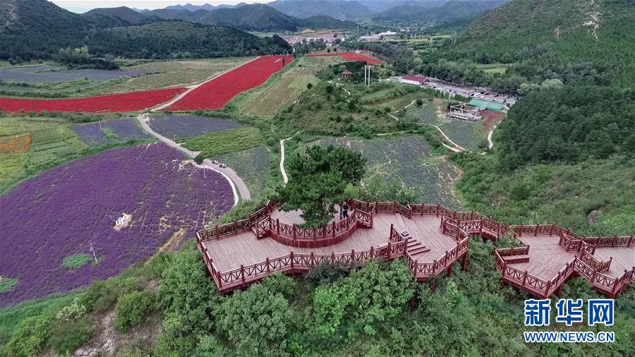 （十九大·讀報告 話民生）（10）加快生態文明體制改革，建設美麗中國